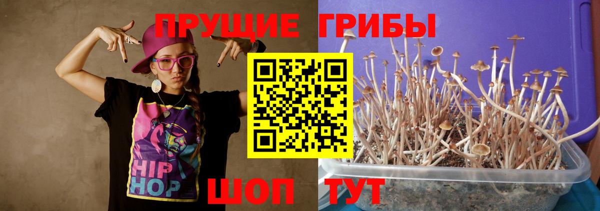 Псилоцибиновые грибы Magic Shrooms  Вход с VPN  Топки 